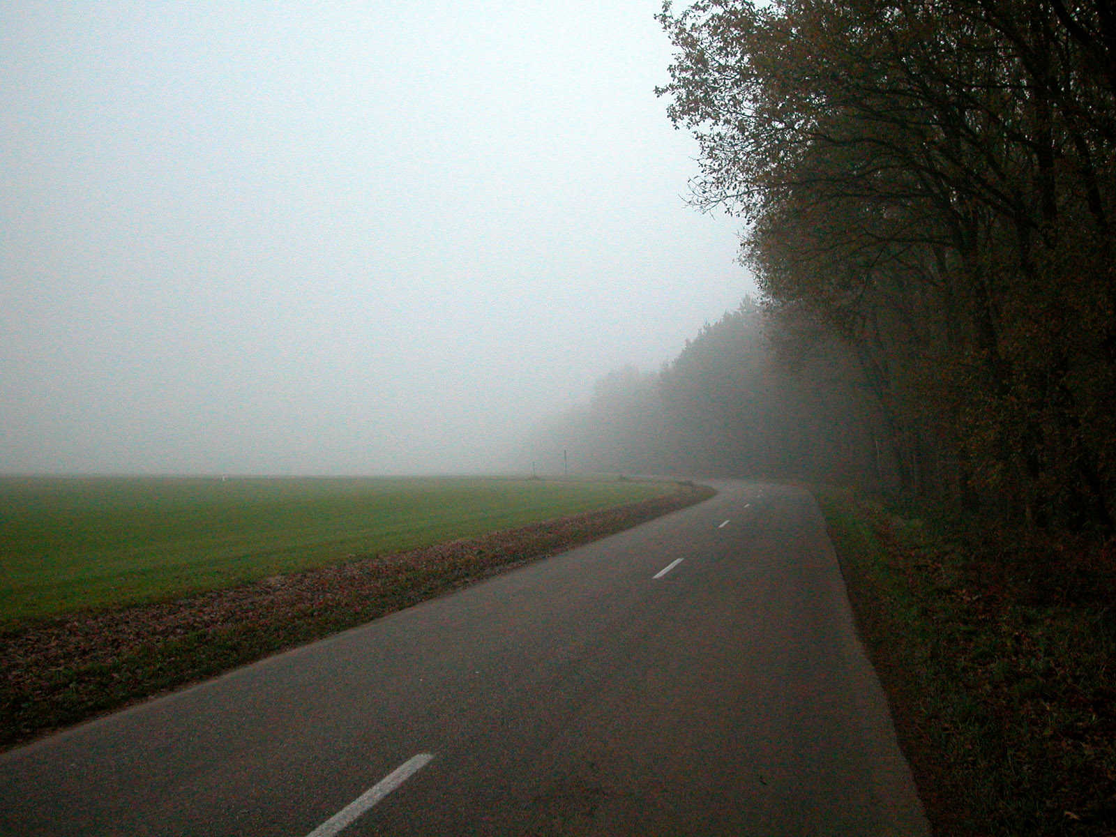 Foggy road